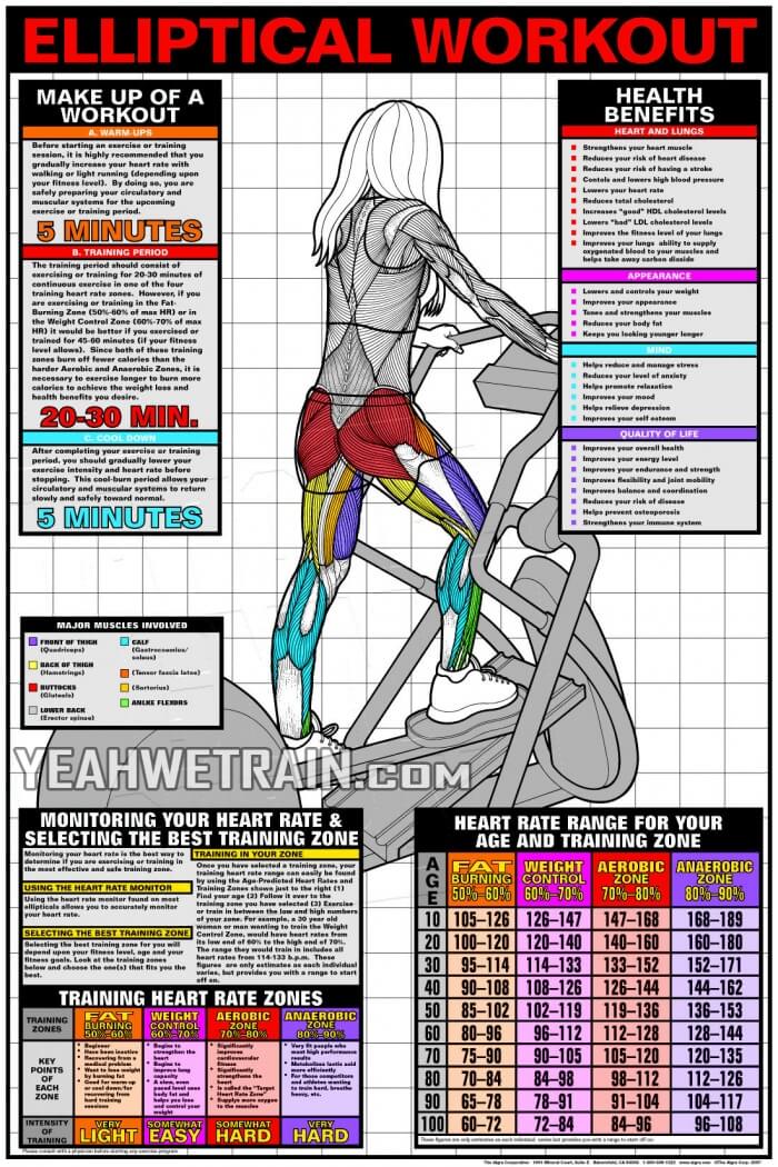 Elliptical Workout Cardio Fat Burning Sixpack Abs Exercise Yeah We