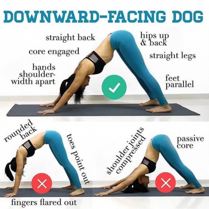 Downward-Facing Dog Right vs Wrong - Yeah We Train ! - Workouts ...